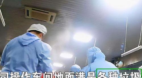 配餐爆料视频下载,视频爆料带你探秘后厨操作