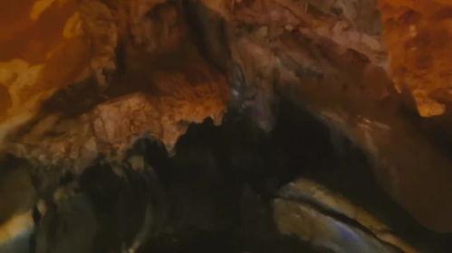 独闯无洞电影在线观看,孤胆英雄的惊险冒险之旅