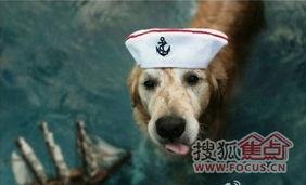 二狗爆料小肥皂视频,小肥皂视频背后的惊人真相 第2张 二狗爆料小肥皂视频,小肥皂视频背后的惊人真相 第2张