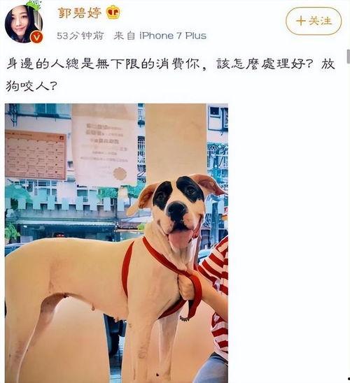 向太最新爆料动态,揭秘娱乐圈惊人内幕 第3张 向太最新爆料动态,揭秘娱乐圈惊人内幕 第3张